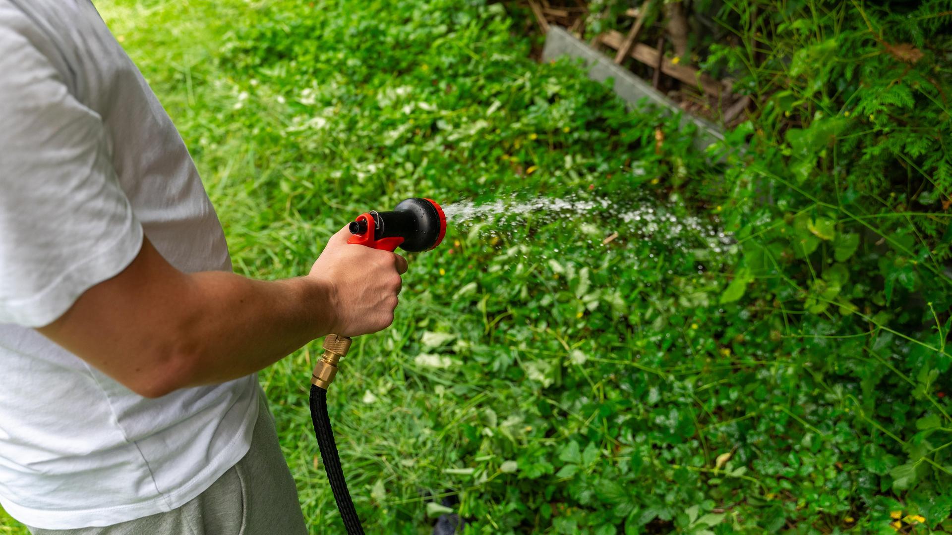 Ein Mann bewässert an einem Sommertag den Garten mit einem Wasserschlauch und sorgt dabei für frische grüne Pflanzen und einen gepflegten Rasen