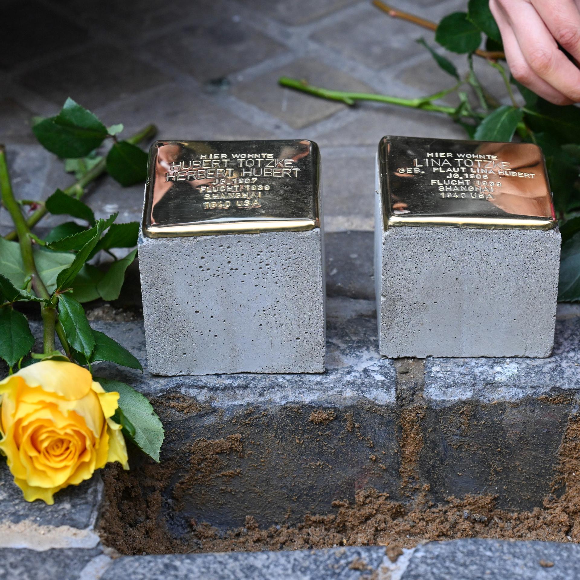 Zwei neue Stolpersteine werden in Kopfsteinpflaster verlegt.