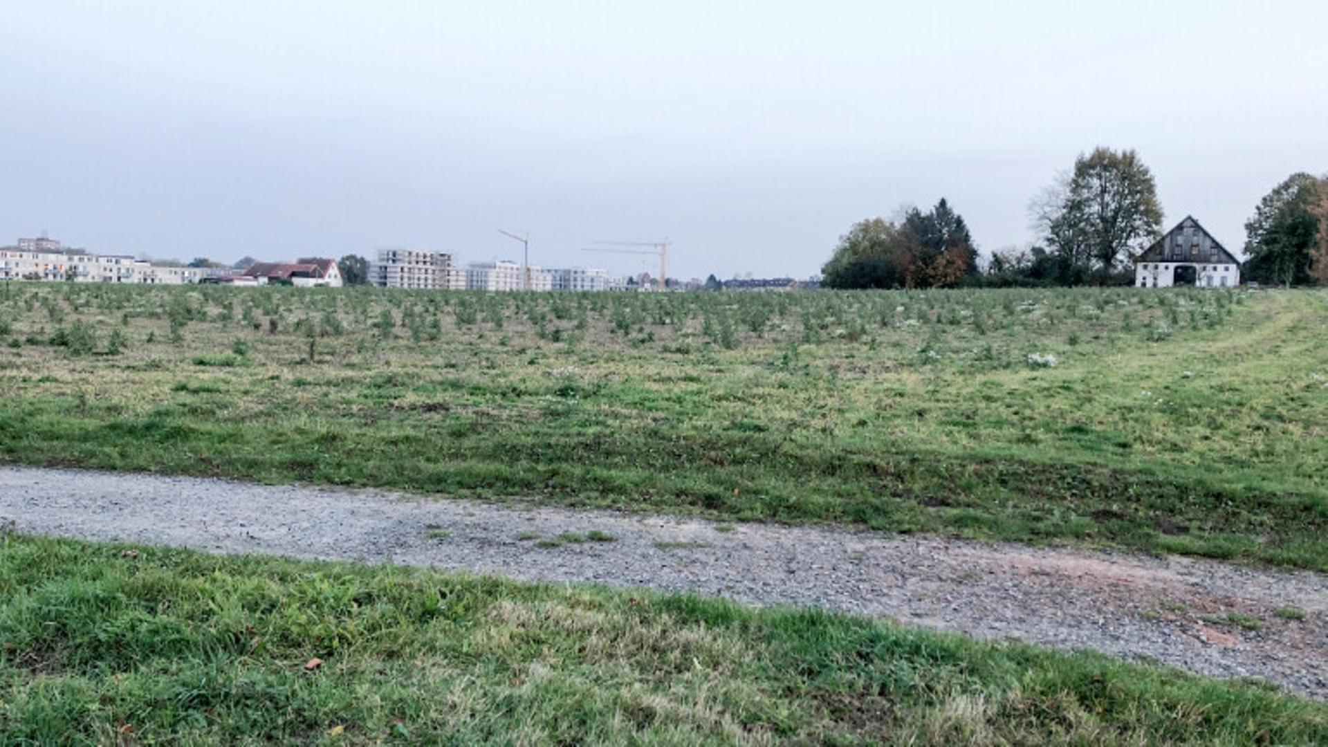 Ein Bild von einer Dorf-Siedlung