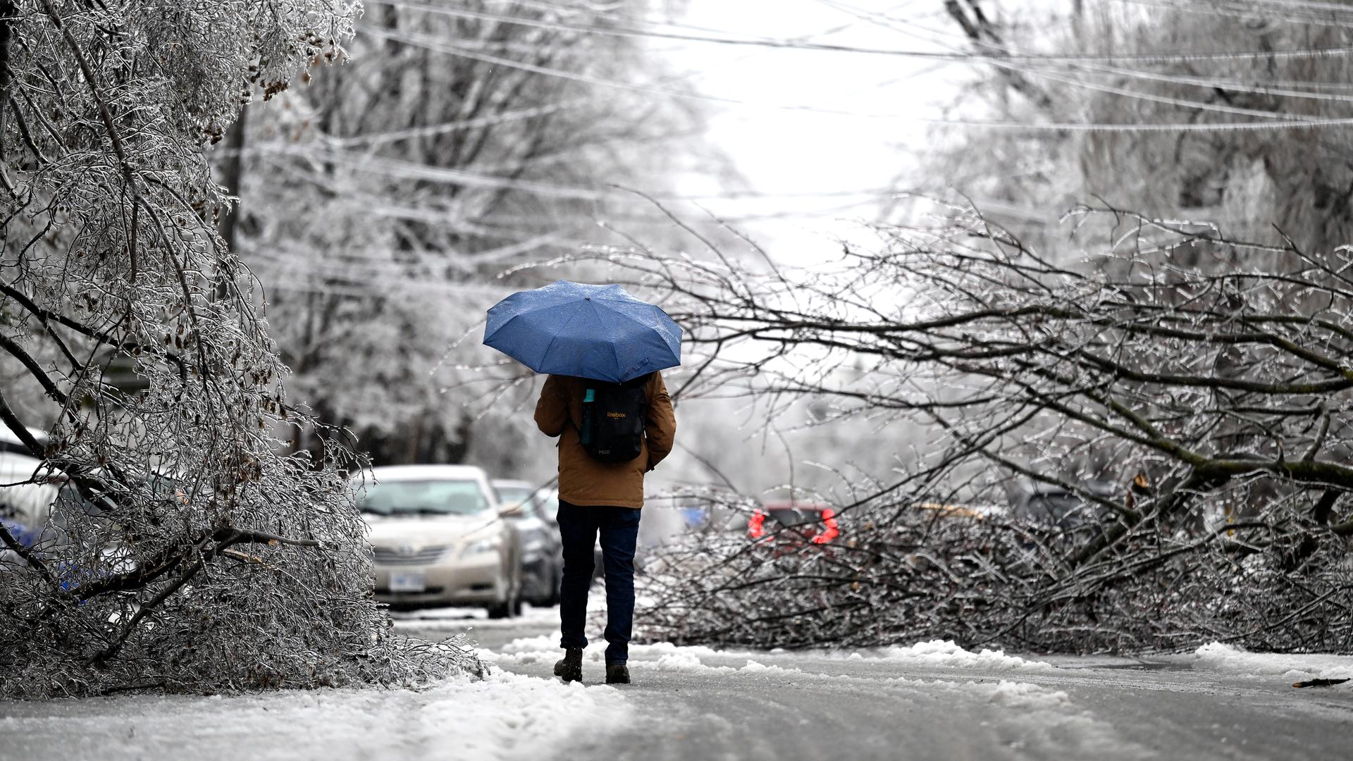 Eisbedeckte Kronen zweier Bäume liegen auf einer Straße; dazwischen steht ein Mensch mit einem blauen Regenschirm, dem man von hinten sieht. Im Hintergrund unscharf Autos. Eisbedeckte Kronen zweier Bäume liegen auf einer Straße; dazwischen steht ein Mensch mit einem blauen Regenschirm, dem man von hinten sieht. Im Hintergrund unscharf Autos.