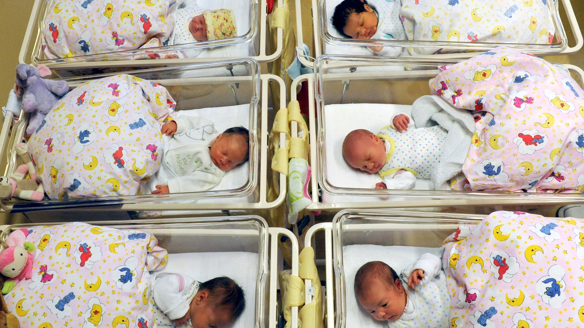 Auf einer Neugeborenenstation liegen sechs Babys in ihren Betten nebeneinander.