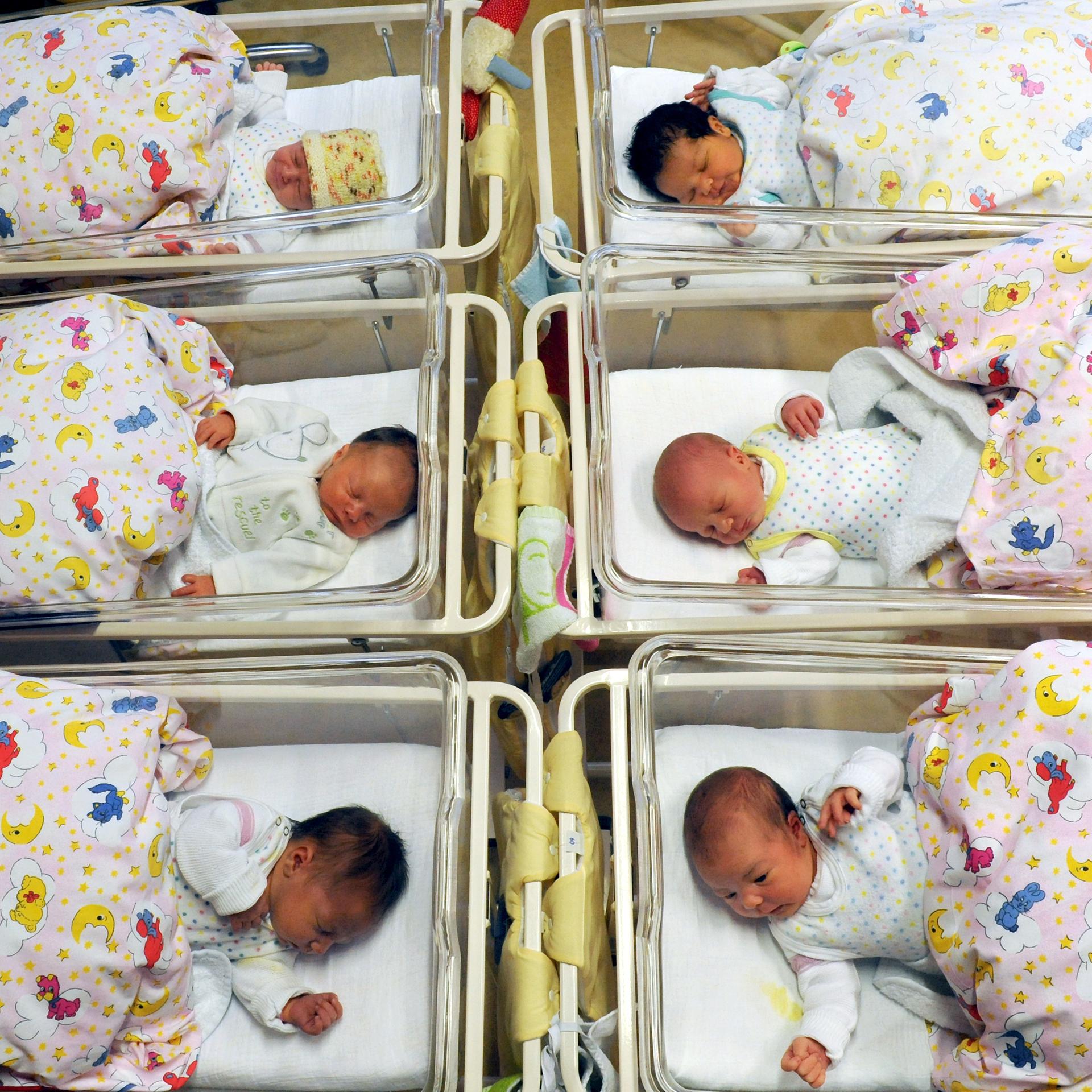 Auf einer Neugeborenenstation liegen sechs Babys in ihren Betten nebeneinander. Auf einer Neugeborenenstation liegen sechs Babys in ihren Betten nebeneinander.