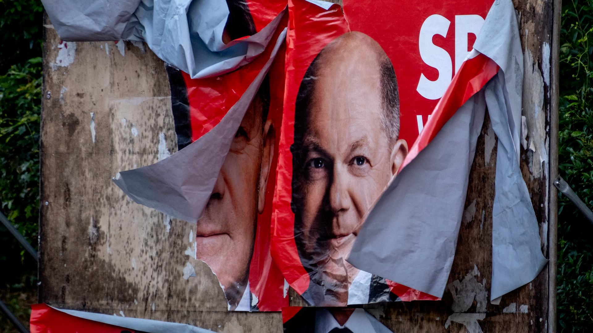 Beschädigte SPD-Wahlplakate mit dem Gesicht von Olaf Scholz.
