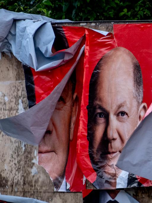 Beschädigte SPD-Wahlplakate mit dem Gesicht von Olaf Scholz.