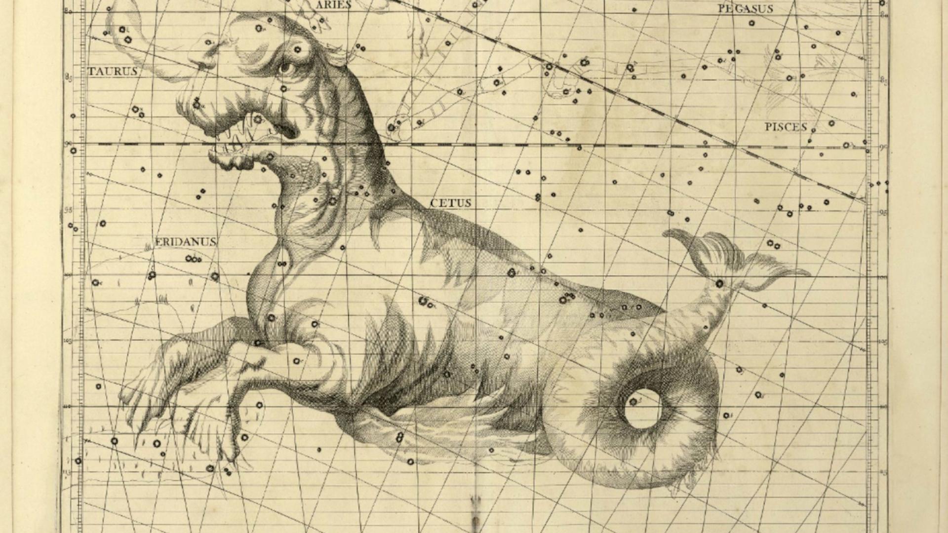 Das Sternbild Cetus, Walfisch, dargestellt im Sternatlas des englischen Astronomen John Flamsteed aus dem Jahr 1729. 