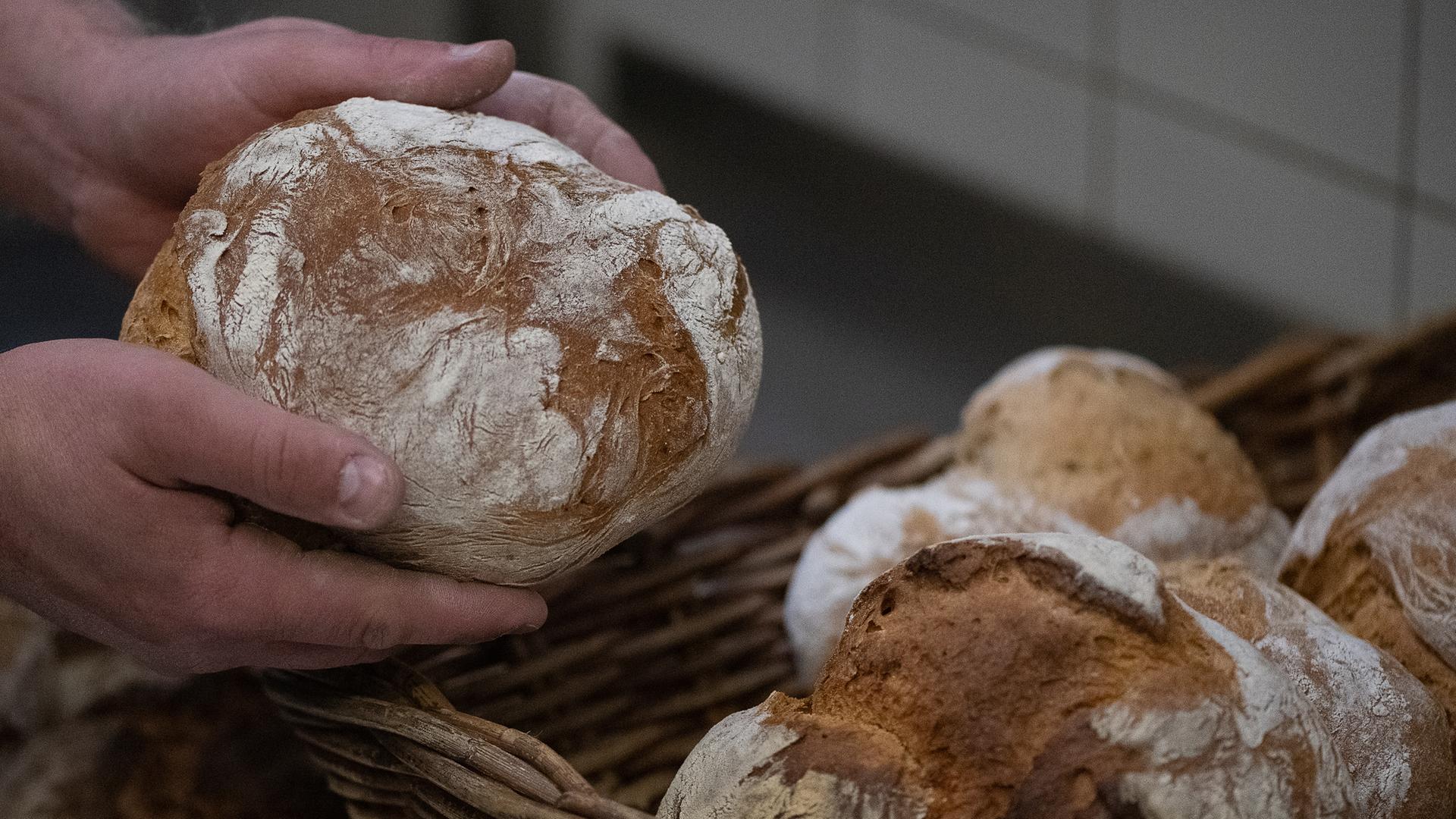 Ein Bäcker hält ein Brot.  