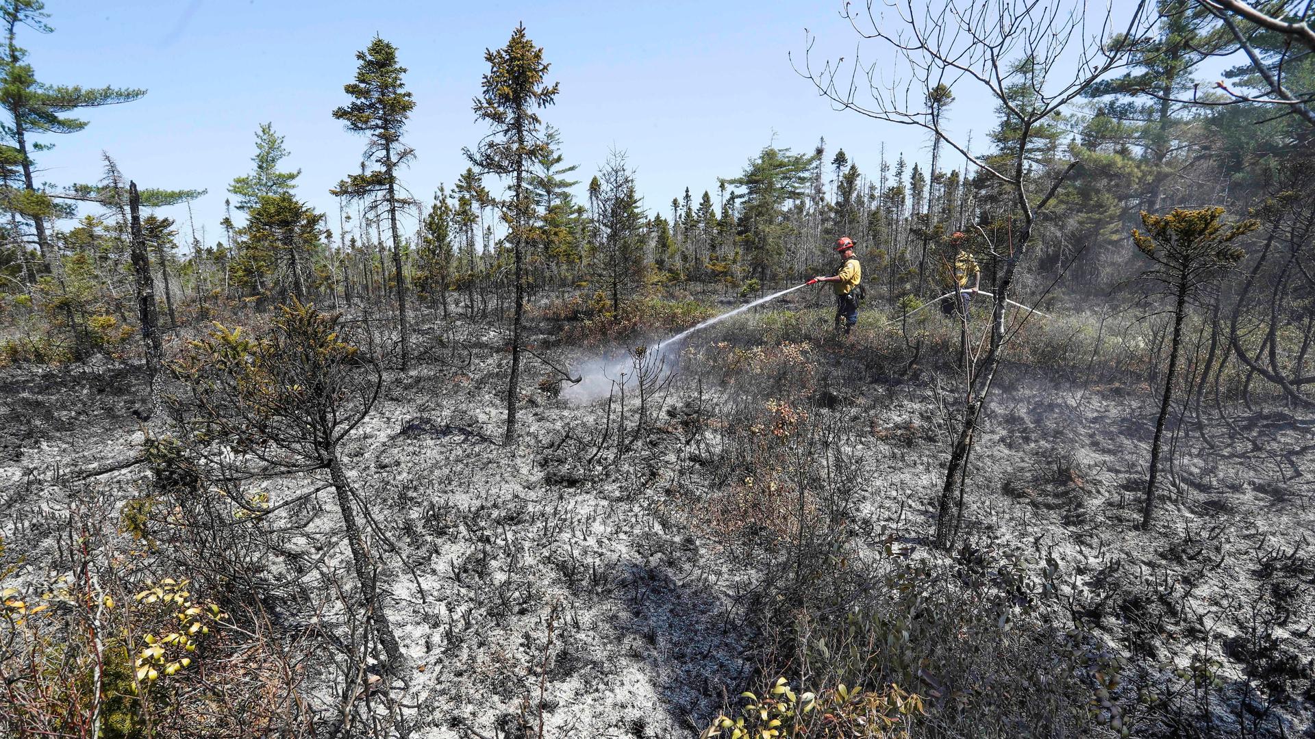 Kanada, Shelburne County: Dieses von Communications Nova Scotia zur Verfügung gestellte Foto zeigt zwei Einsatzkräfte des Ministerium für natürliche Ressourcen und erneuerbare Energien bei Löscharbeiten in einem Waldgebiet.