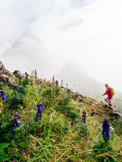 Eine Frau wandert in Österreich und hat die Bergspitze fast erreicht.