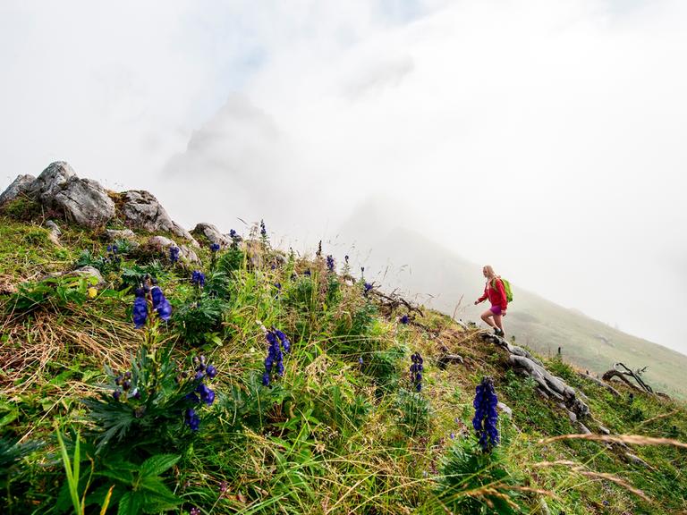 Eine Frau wandert in Österreich und hat die Bergspitze fast erreicht.