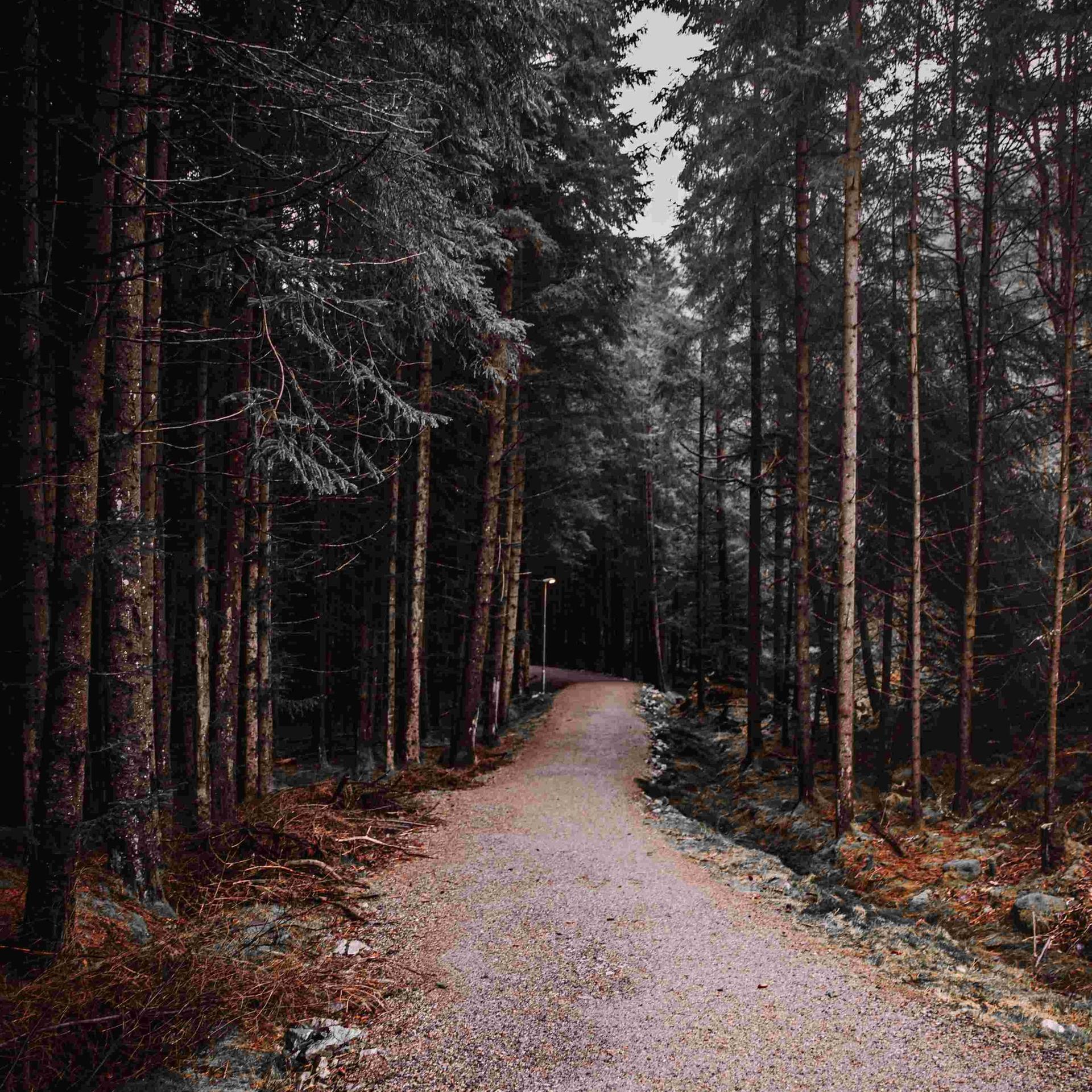 Ein Morgen wie jeder andere - Krimi-Hörspiel: Ein Tierarzt sucht die Wahrheit