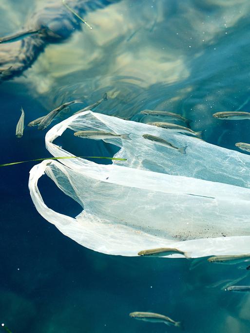 Plastiktüte treibt im Wasser und zeigt die verheerenden Auswirkungen von Umweltverschmutzung auf Gewässer.