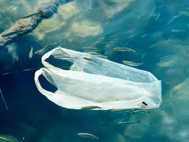 Plastiktüte treibt im Wasser und zeigt die verheerenden Auswirkungen von Umweltverschmutzung auf Gewässer.