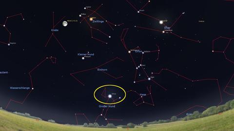 Grafik eines Winterhimmels: Sirius funkelt tief im Süden, darüber leuchten Orion, die Planeten Jupiter und Mars und der Mond. 