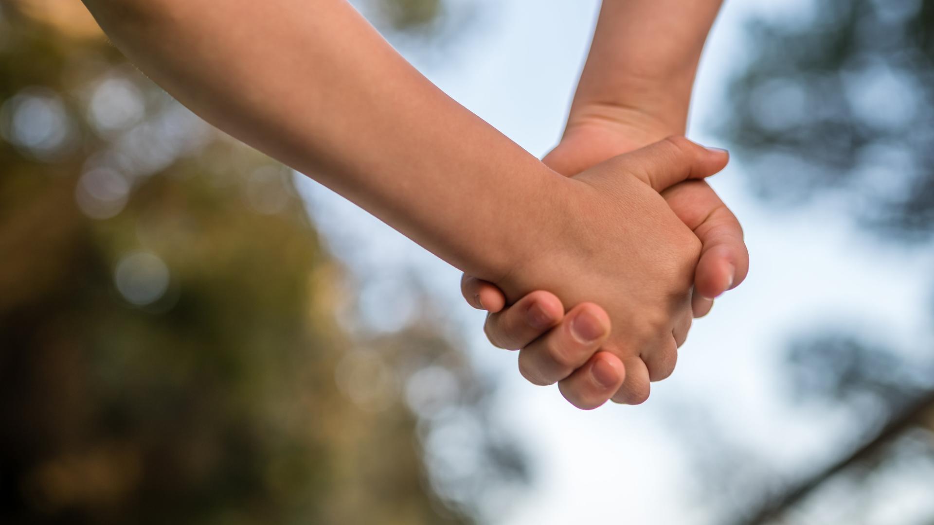 Zwei Hände halten sich, im Hintergrund ist verschwommen Blätter zu sehen