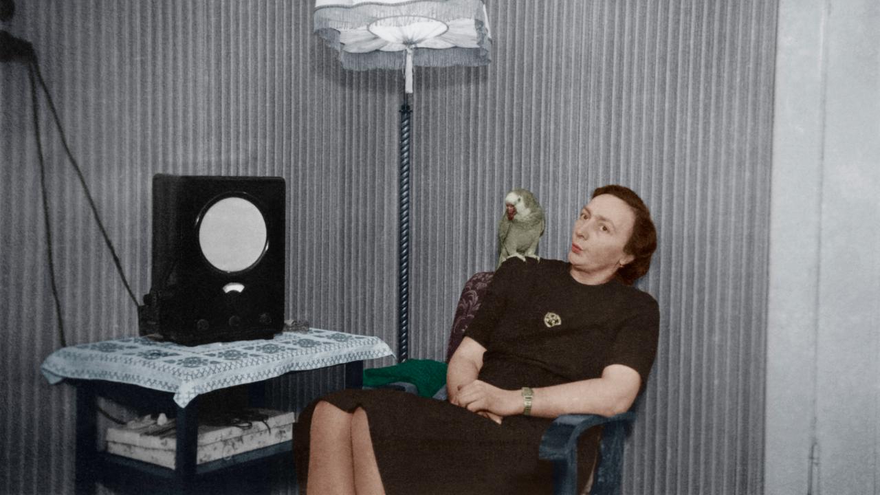 Harriet Roth Kulturpolitik - Das Museum als Ort der Utopie