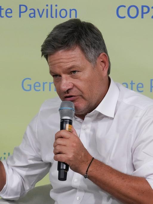 Robert Habeck spricht in ein Mikrofon, im Hintergrund ist eine Tafel mit der Aufschrift Climate Pavilion COP29.