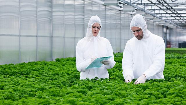 Zwei Wissenschaftler in weißen Schutz-Anzügen stehen in einem Gewächshaus. 