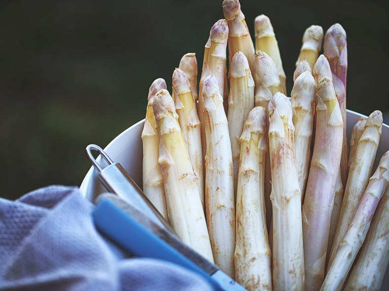 Frischer weisser Spargel in einer Schüssel. Halb darüber ein blaues Küchenhandtuch und ein Spargelschäler liegt mit in der Schüssel.