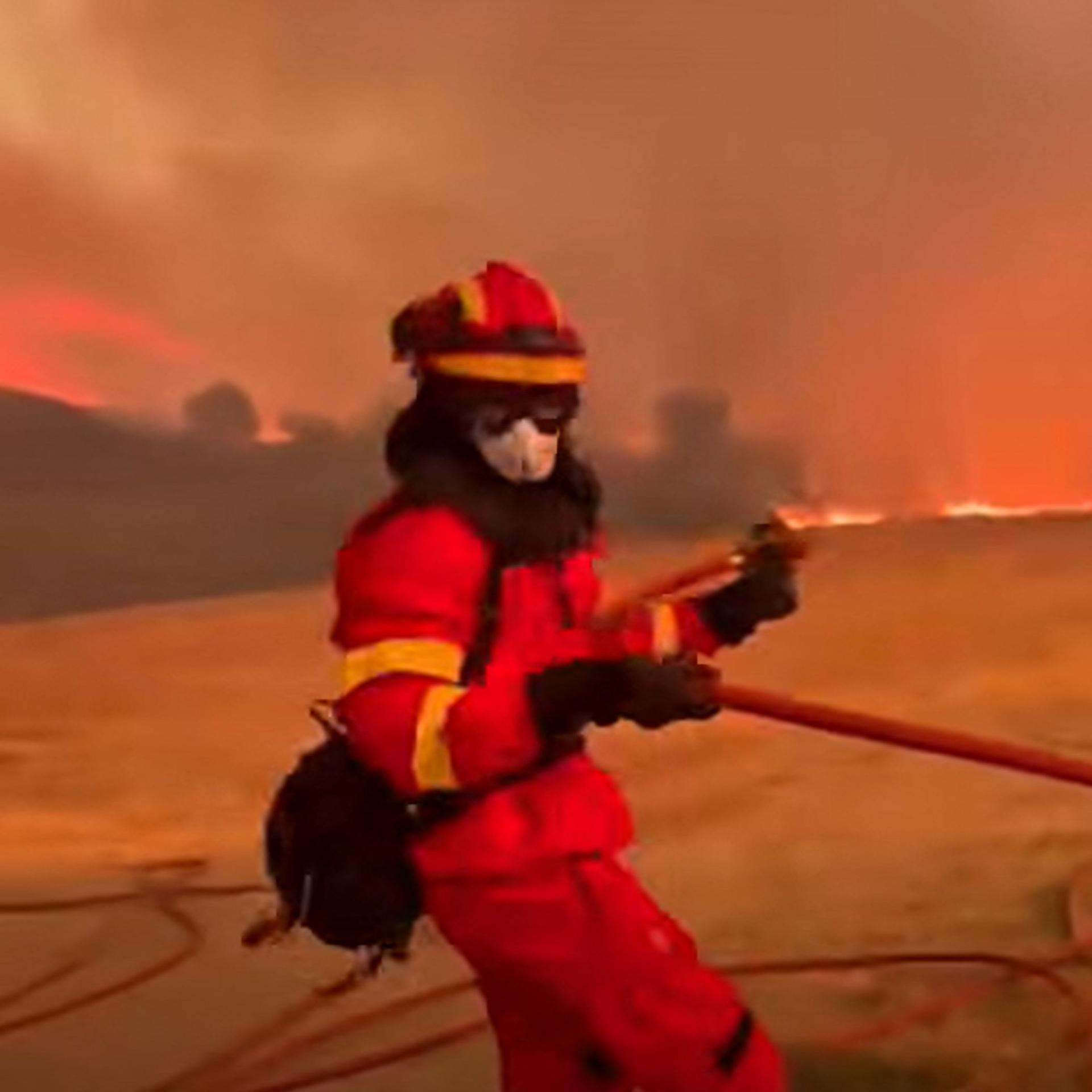 Der Mann ist gekleidet wie ein Feuerwehrmann. Er zieht einen Schlauch über ein Feld. Im Hintergrund Flammen und Rauch. Die Szenerie ist in rotes Licht gekleidet. 