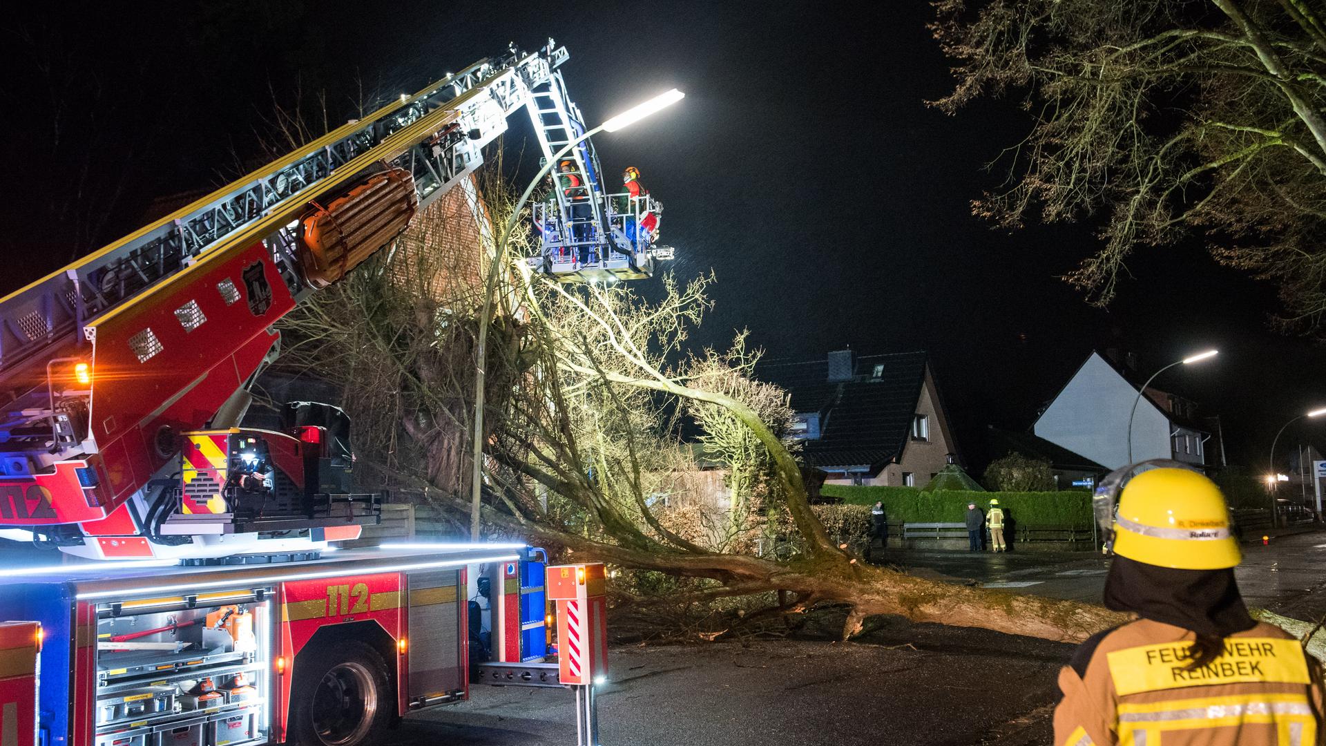Feuerwehrleute zersägen einen großen Baum, der auf ein Wohnhaus gestürzt ist.