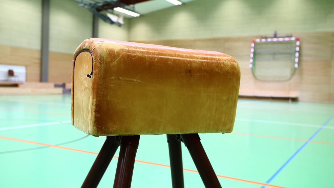 Ein Bock steht in einer Sporthalle.