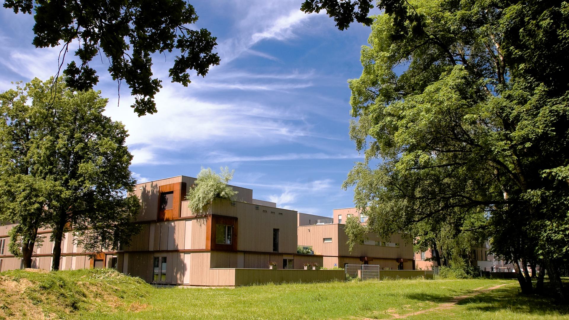 Holzbauten einer Baugemeinschaft in München