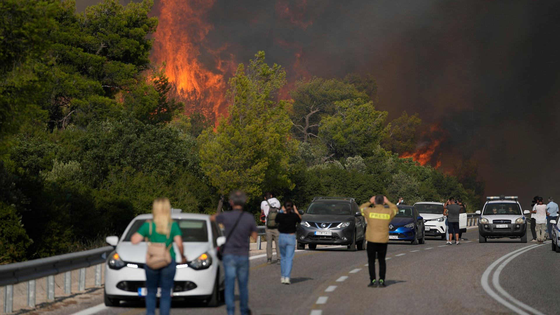Griechenland, Agia Sotira: Ein Brand neben einer Straße in dem Dorf Agia Sotira in der Nähe von Athen. Griechenland, Agia Sotira: Ein Brand neben einer Straße in dem Dorf Agia Sotira in der Nähe von Athen.