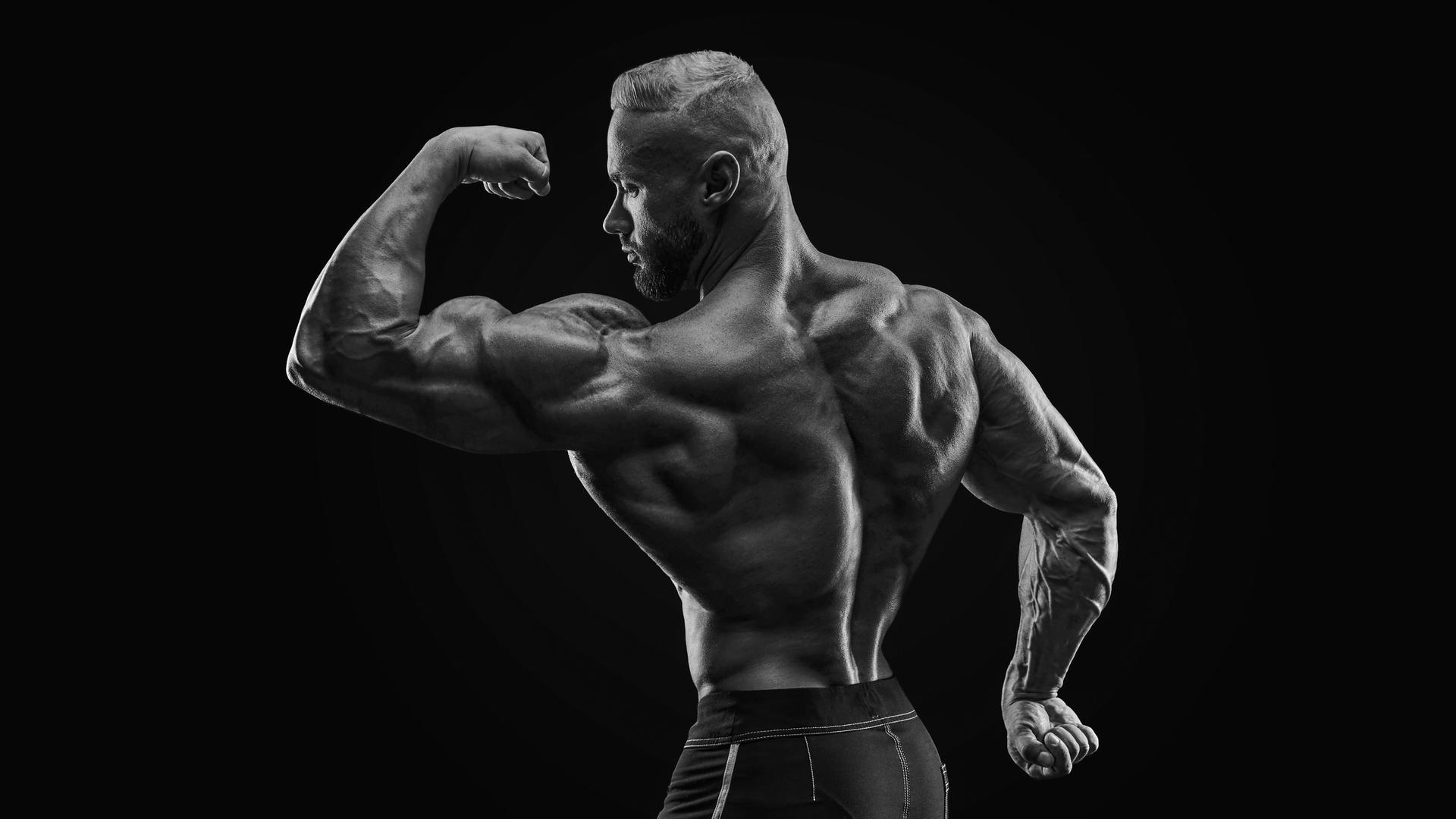 Silhouette eines kräftigen Bodybuilders, der die Muskeln seines linken Oberarms anspannt. Silhouette eines kräftigen Bodybuilders, der die Muskeln seines linken Oberarms anspannt.