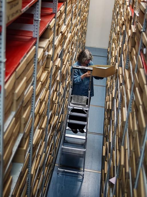 Eine Frau steht auf einer Leiter und nimmt Akten aus einem Archivregal. 