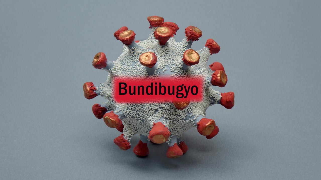 In einem kugelförmigen Virusmodell ist der Schriftzug "Bundibugyo" zu lesen. In einem kugelförmigen Virusmodell ist der Schriftzug "Bundibugyo" zu lesen.