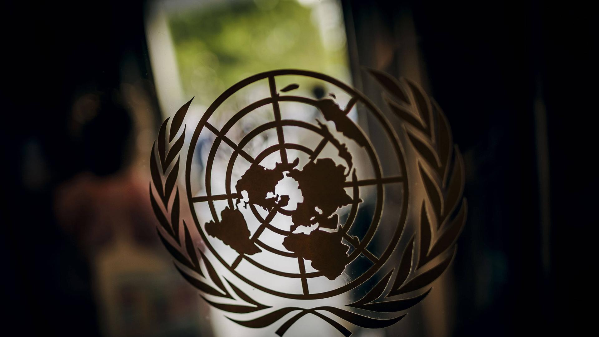 Das Logo der Vereinten Nationen ist auf einer Scheibe abgebildet, der Blick fällt nach draußen, dort schimmert es grün.