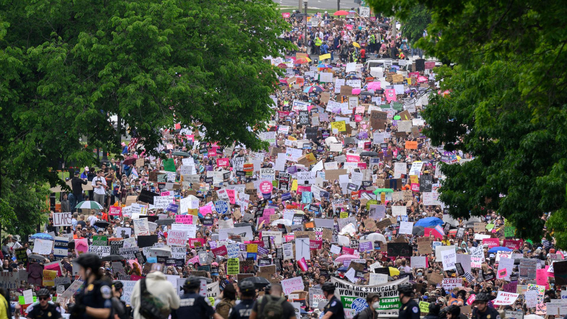 Viele Menschen auf einer Demonstration in der Stadt Washington