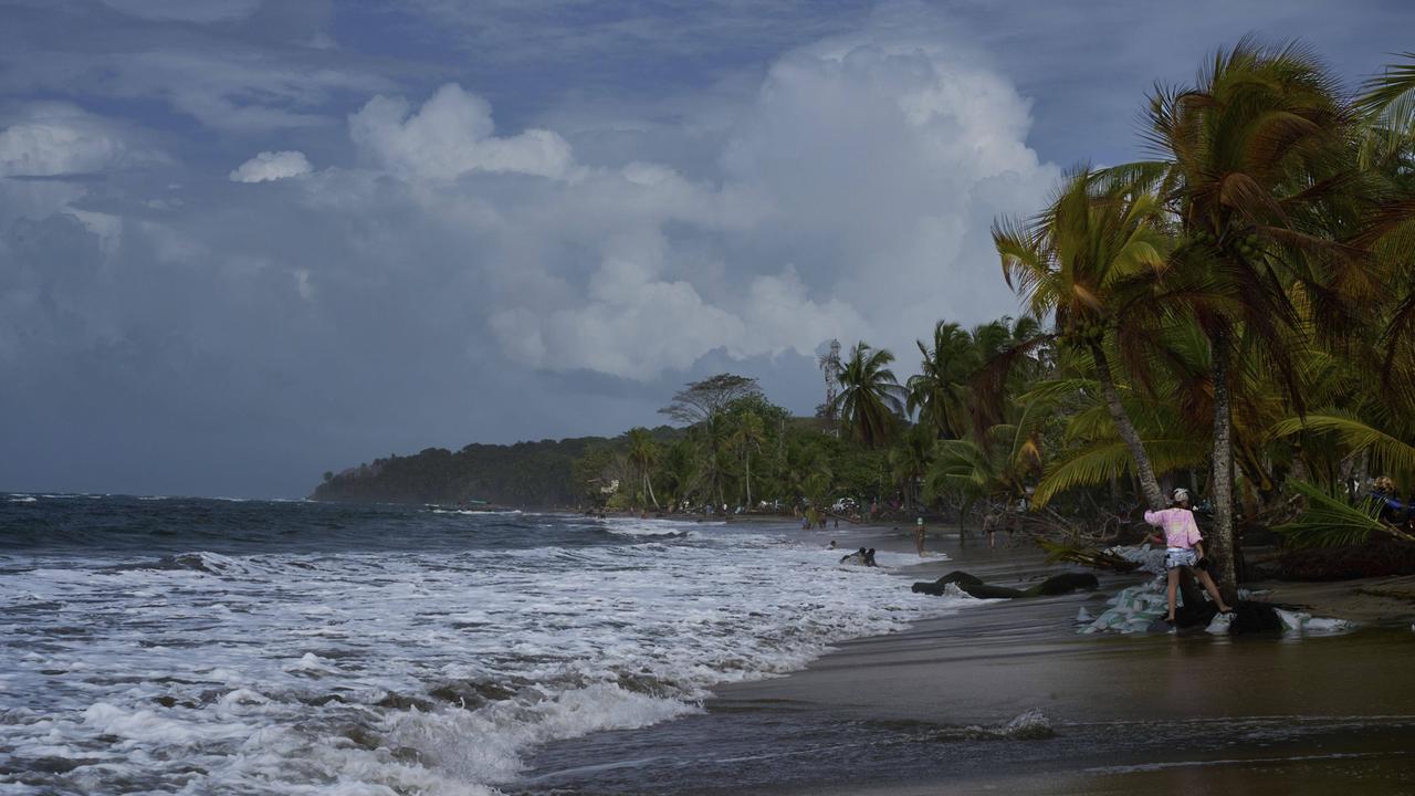 Palmen am Strand von Manzanillo in Costa Rica, der Strand ist teilweise mit Sandsäcken befestigt Palmen am Strand von Manzanillo in Costa Rica, der Strand ist teilweise mit Sandsäcken befestigt