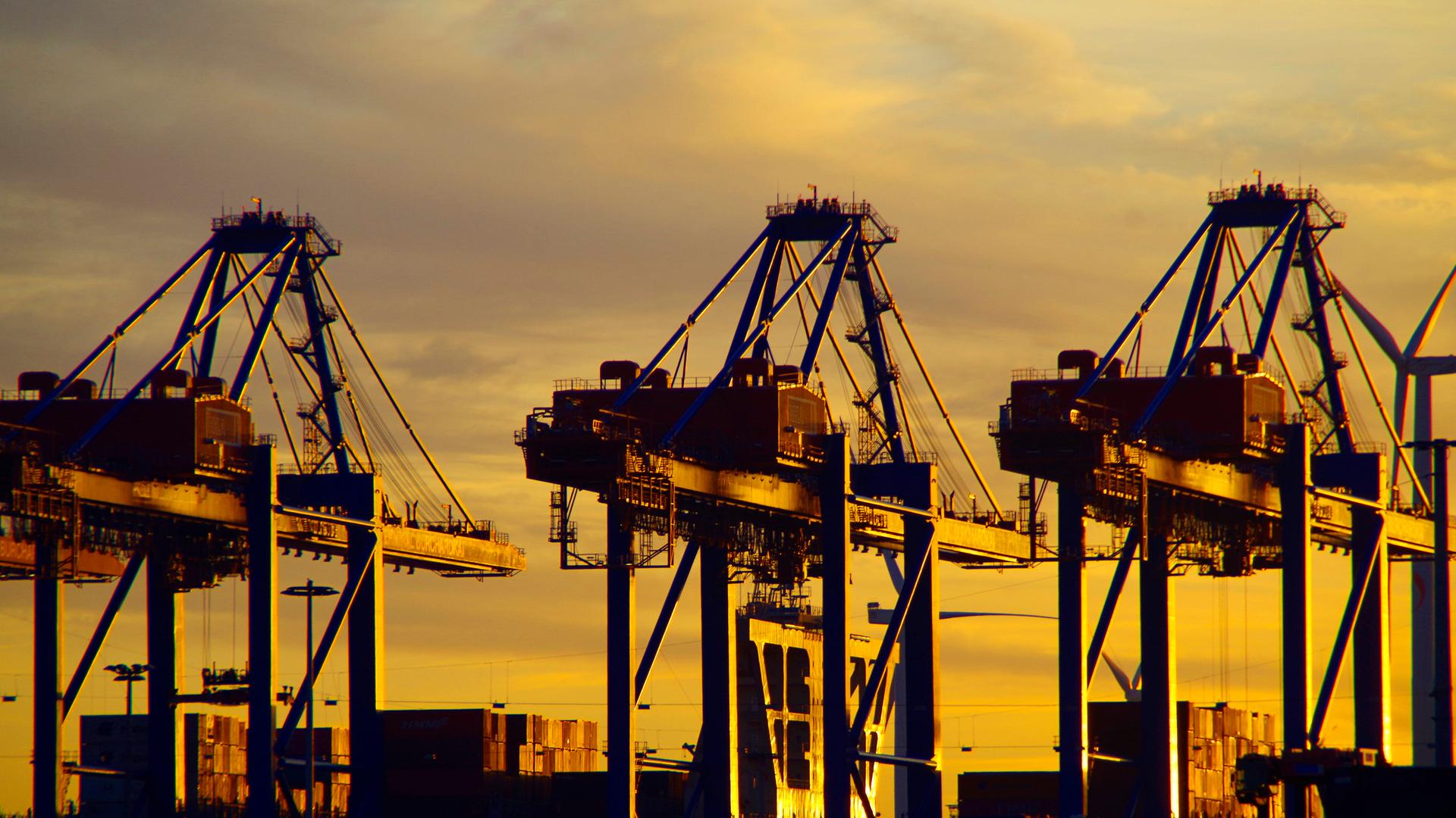 Containerbrücken am Hamburger Hafen im Sonnenuntergang