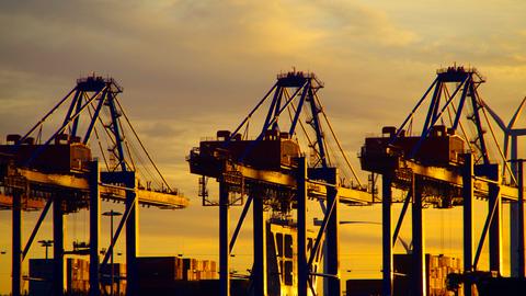 Containerbrücken am Hamburger Hafen im Sonnenuntergang