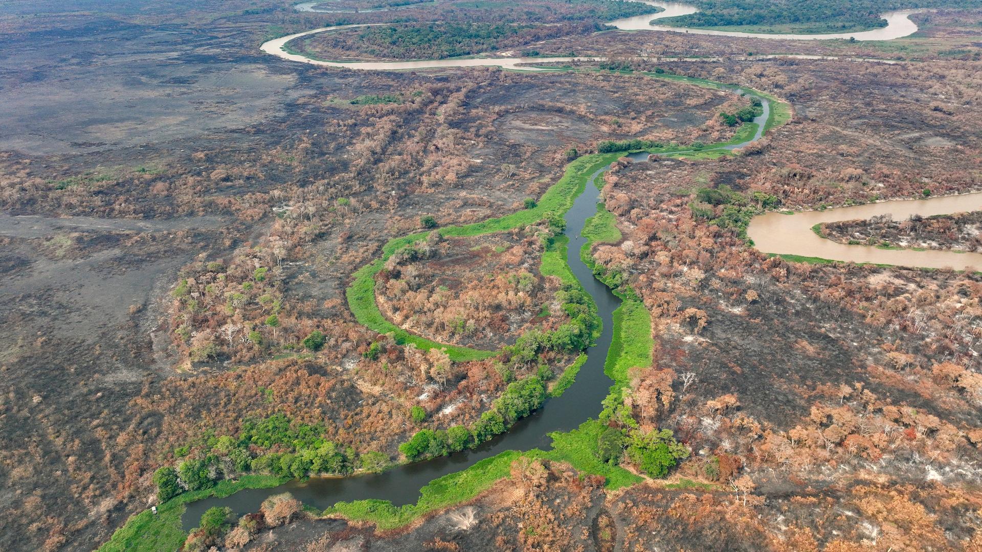 Pantanal aus der Luft fotografiert. Es ist viel verbrannte Fläche erkennbar.