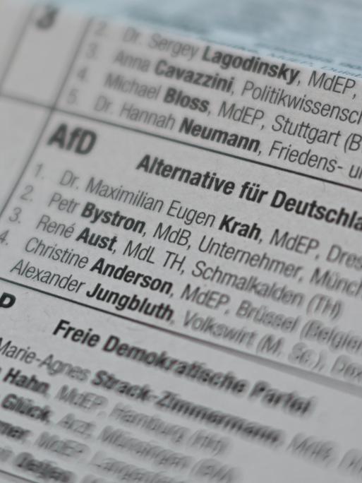 Die Namen der beiden AfD-Spitzenkandidaten für die Europawahl, Maximilian Krah und Petr Bystron, sind im Briefwahlbüro der Stadt Mainz auf einem Stimmzettel zu lesen. 