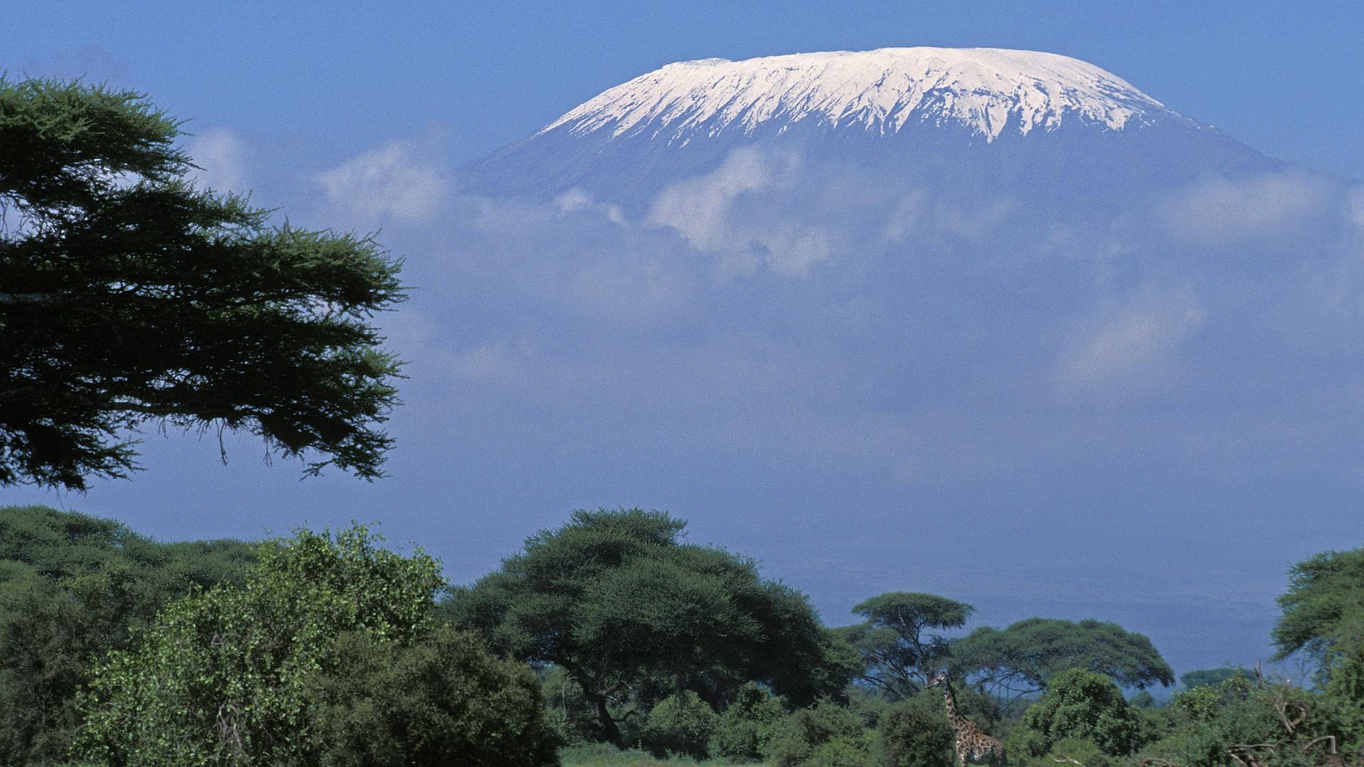 Der Kilimandscharo aus der Ferne