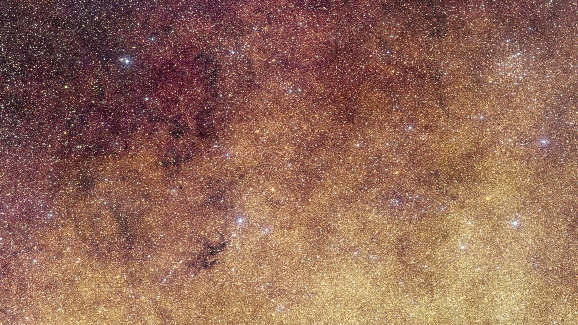 Sternfeld auf einer Weltraumfotografie des Euclid-Weltraumteleskops Sternfeld auf einer Weltraumfotografie des Euclid-Weltraumteleskops