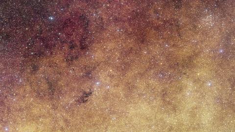 Sternfeld auf einer Weltraumfotografie des Euclid-Weltraumteleskops