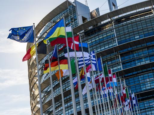 Die Flaggen der Europäischen Union, der Ukraine und der Mitgliedsstaaten der EU wehen vor dem Gebäude des Europäischen Parlaments in Straßburg. Zur Abstimmung steht eine Resolution des Parlaments über die Reaktion der EU auf die hohen Energiepreise.
