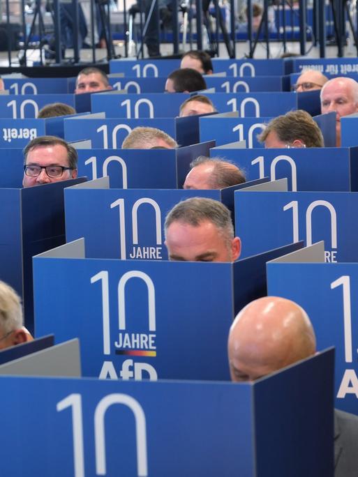 Das Foto zeigt Mitglieder von der AfD. Sie wählen gerade in Wahl-Kabinen die Kandidaten für die Europa-Wahl.