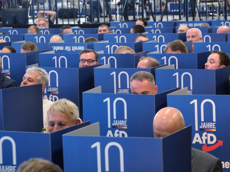 Das Foto zeigt Mitglieder von der AfD. Sie wählen gerade in Wahl-Kabinen die Kandidaten für die Europa-Wahl.
