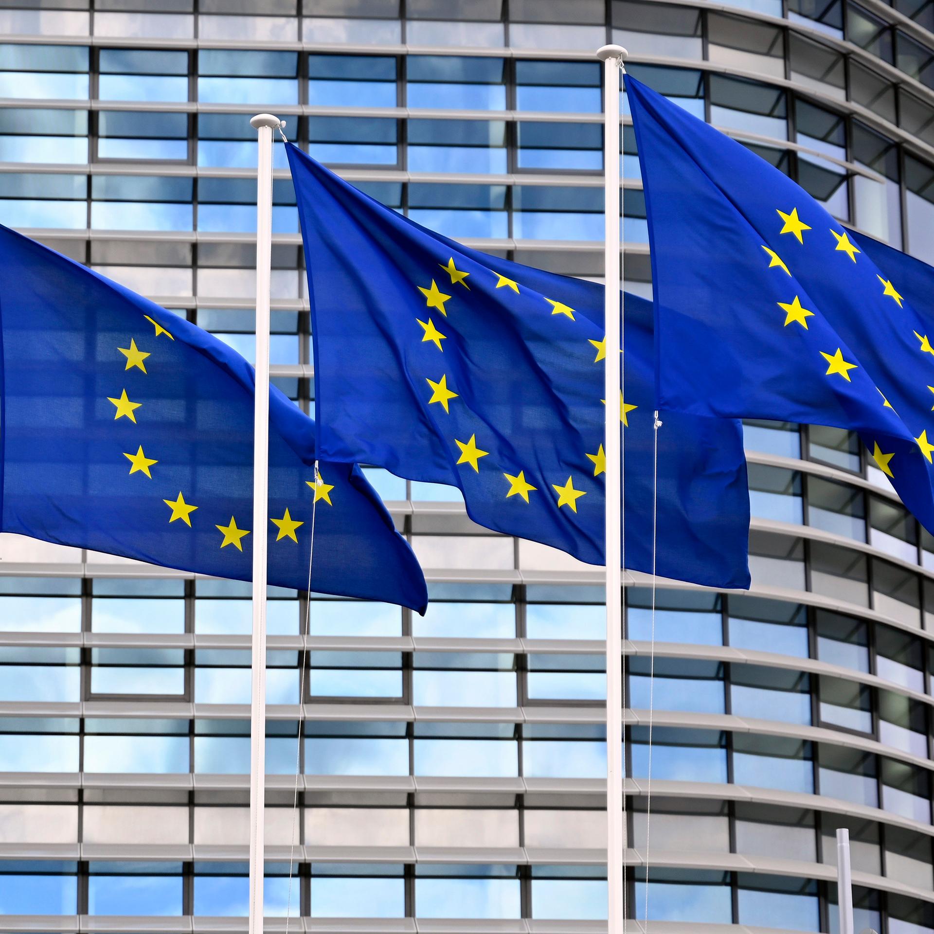 EU-Flaggen und Flaggen der Mitgliedsstaaten wehen im Wind