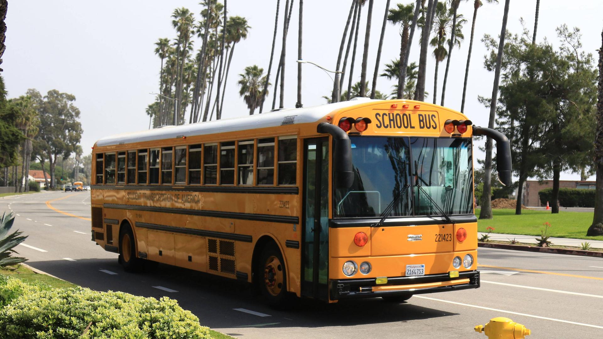 Ein typischer US-amerikanischer Schulbus. Er ist gelb-orange und hat die Aufschrift „School Bus“. Er fährt über eine Straße mit langen Palmen.