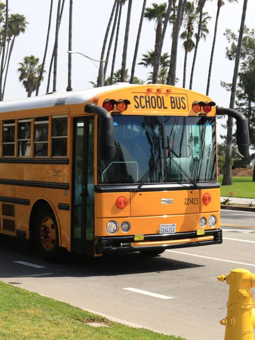 Ein typischer US-amerikanischer Schulbus. Er ist gelb-orange und hat die Aufschrift „School Bus“. Er fährt über eine Straße mit langen Palmen.