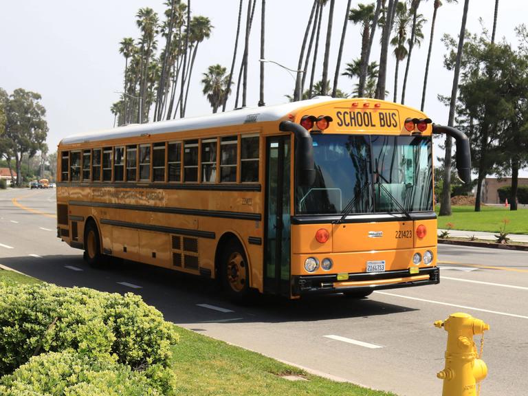 Ein typischer US-amerikanischer Schulbus. Er ist gelb-orange und hat die Aufschrift „School Bus“. Er fährt über eine Straße mit langen Palmen.
