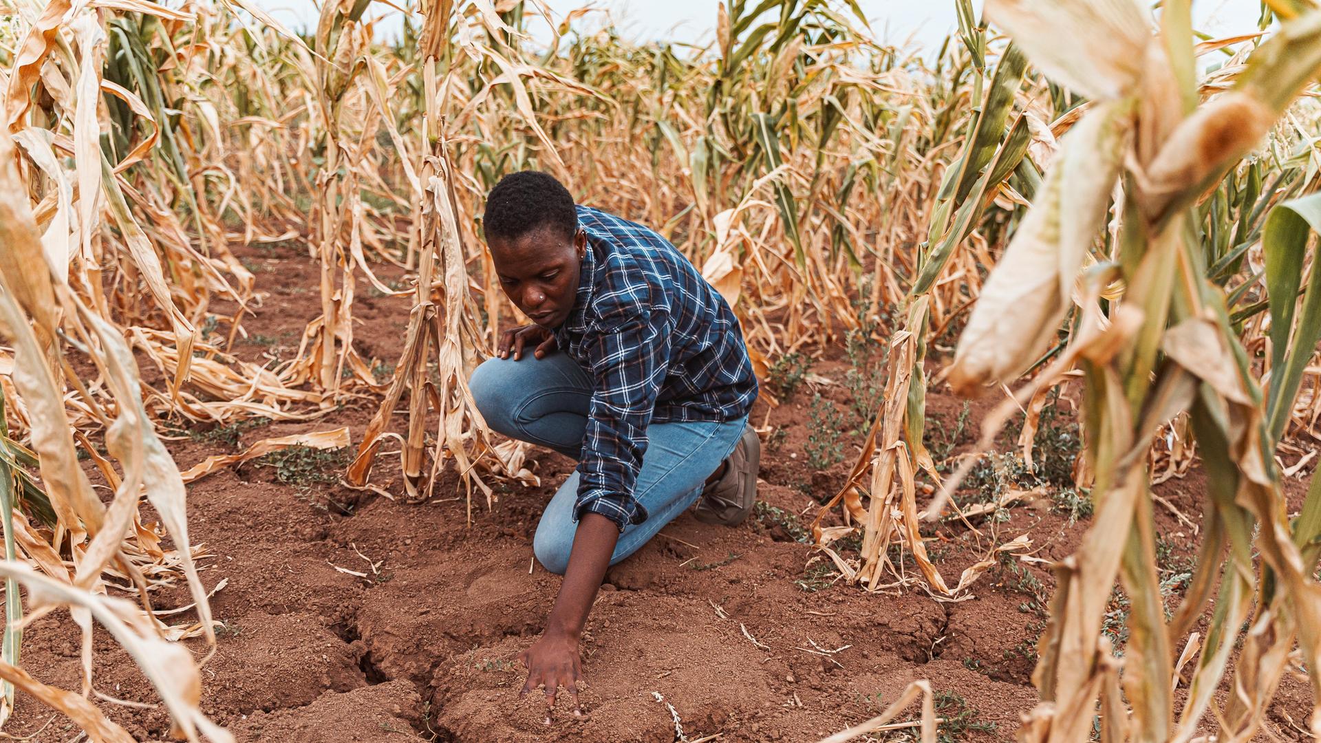Ein afrikanischer Landwirt prüft seinen von Trockenheit aufgerissenen Boden auf einem Getreidefeld