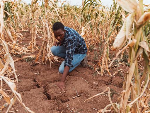 Ein afrikanischer Landwirt prüft seinen von Trockenheit aufgerissenen Boden auf einem Getreidefeld Ein afrikanischer Landwirt prüft seinen von Trockenheit aufgerissenen Boden auf einem Getreidefeld