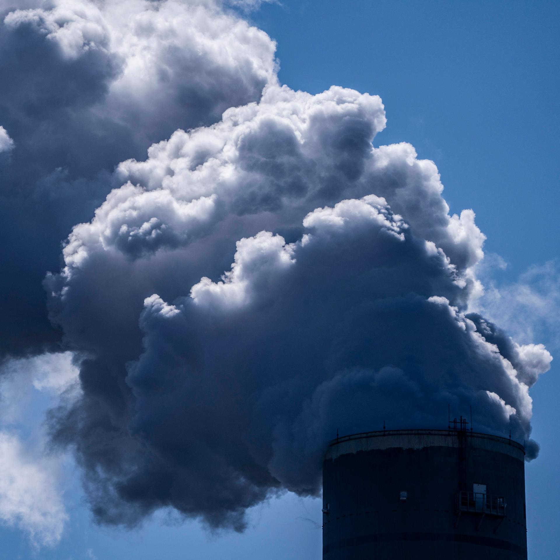 Vor COP30 - EU-Umweltminister ringen um Klimaziele